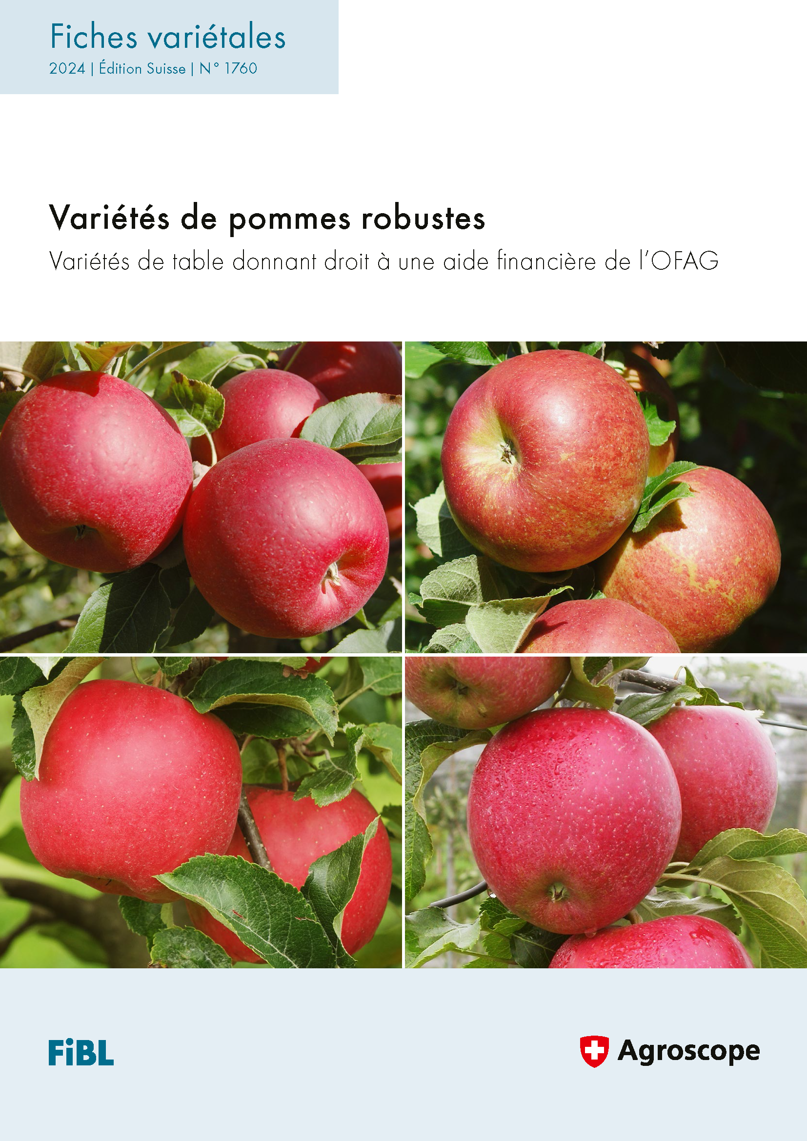 Variétés de pommes robustes