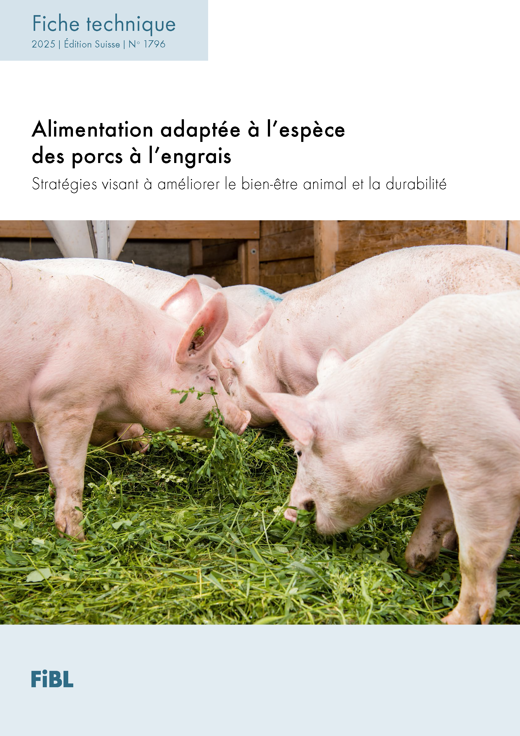 Alimentation adaptée à l’espèce des porcs à l’engrais